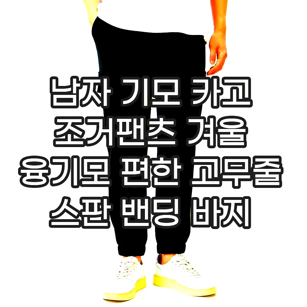 남자 기모 카고 조거팬츠 겨울 융기모 편한 고무줄 스판 밴딩 바지 이미지 2