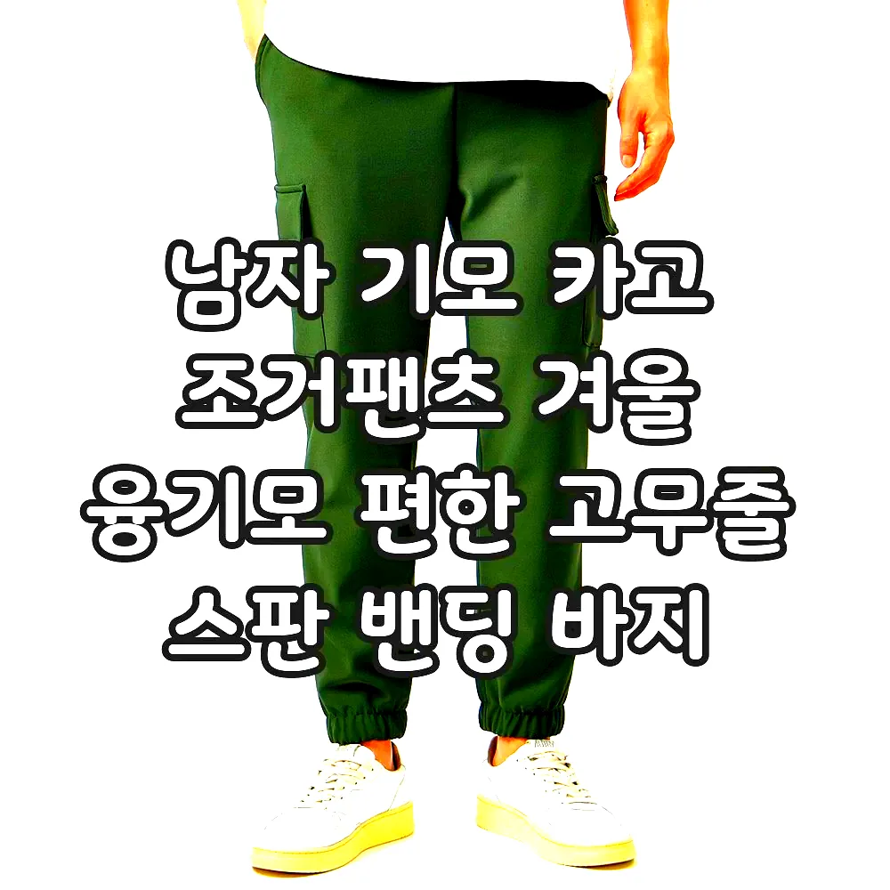 남자 기모 카고 조거팬츠 겨울 융기모 편한 고무줄 스판 밴딩 바지 이미지 4