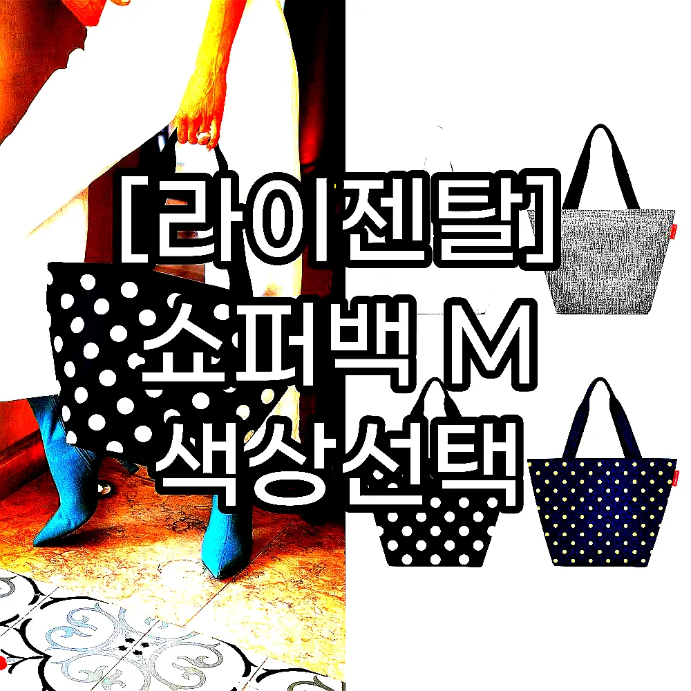 [라이젠탈] 쇼퍼백 M 색상선택 이미지 1
