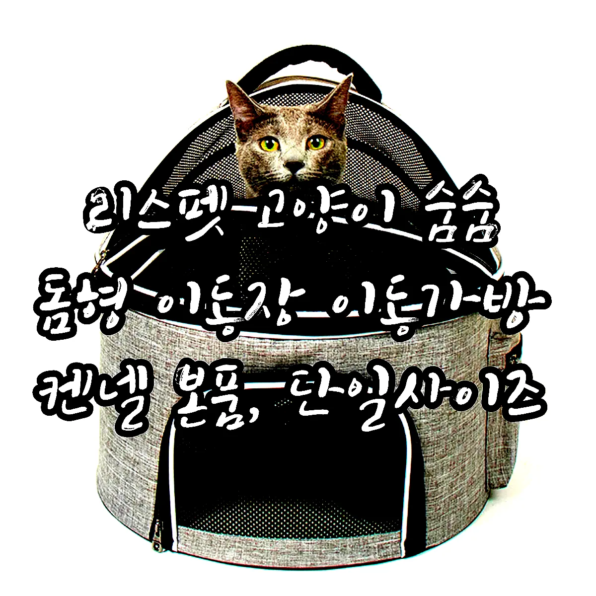 리스펫 고양이 숨숨 돔형 이동장 이동가방 켄넬 본품, 단일사이즈 이미지 1