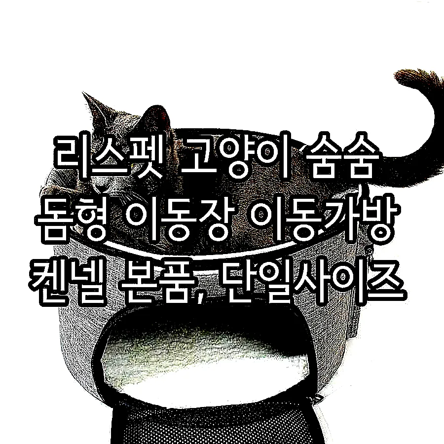 리스펫 고양이 숨숨 돔형 이동장 이동가방 켄넬 본품, 단일사이즈 이미지 7
